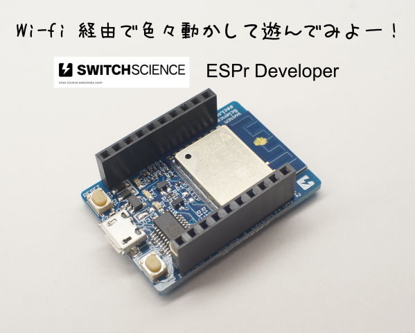 ESPr Developer（ピンソケット実装済）